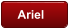 Ariel